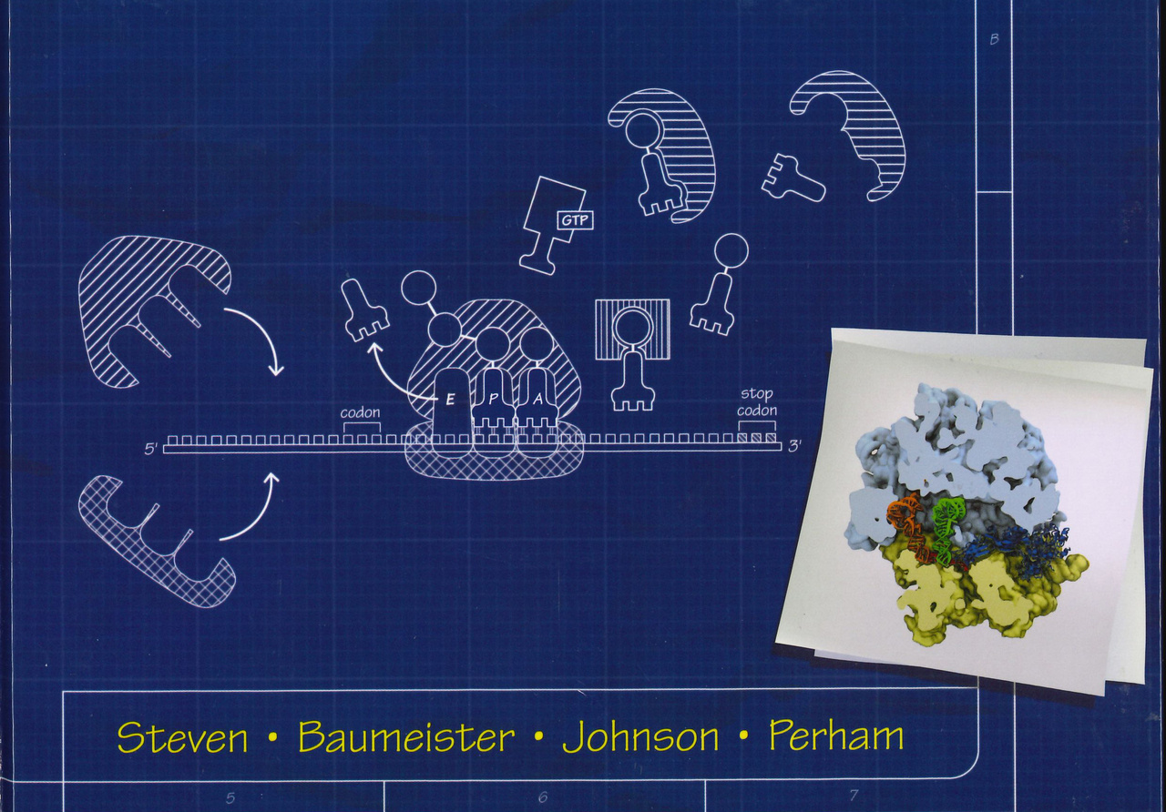 Textbook Review: Molecular Biology of Assemblies and Machines